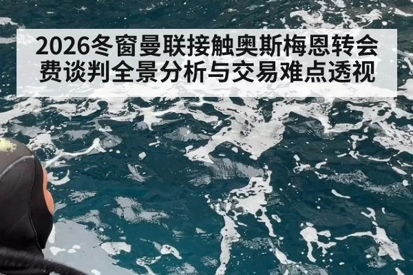 2026冬窗曼联接触奥斯梅恩转会费谈判全景分析与交易难点透视