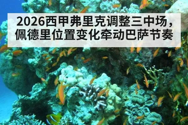 2026西甲弗里克调整三中场，佩德里位置变化牵动巴萨节奏